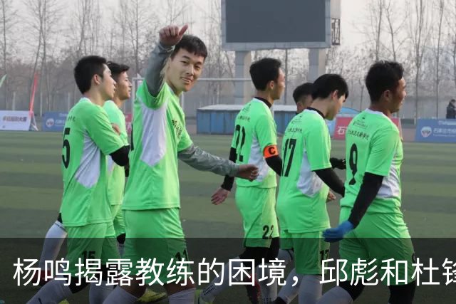 杨鸣揭露教练的困境，邱彪和杜锋的小团队行为是否成为自保策略？