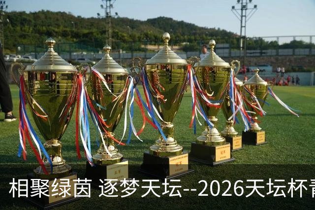 相聚绿茵 逐梦天坛--2026天坛杯青少年足球交流火热开启