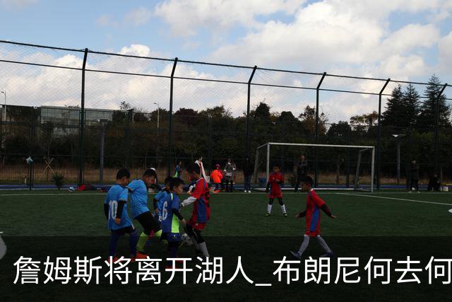 詹姆斯将离开湖人 布朗尼何去何从？后者合同小湖人继续培养不亏